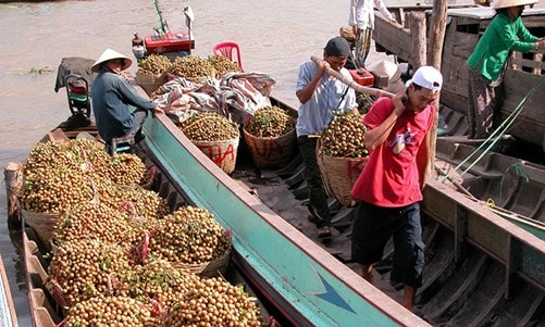 Trung Quốc vẫn đứng vị trí thứ nhất về thị trường nhập khẩu rau quả của Việt Nam trong 11 tháng năm 2018.