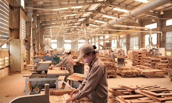 Lâm sản là sản phẩm có mức tăng trưởng nhanh, bằng chứng là mục tiêu xuất khẩu 8 tỉ USD đến 2020 đã cán mộc vào 2018 (Xưởng sản xuất gỗ nội thất tại Bình Dương)