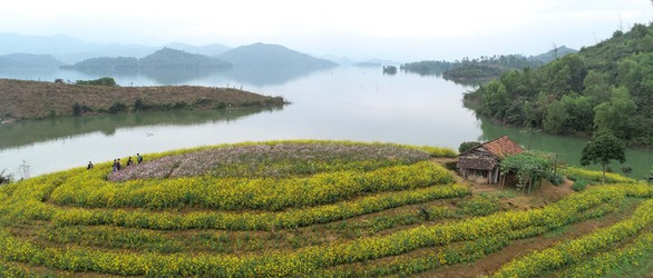 Đảo hoa hồ núi Cốc - Ảnh TRẦN ĐOÀN HUY