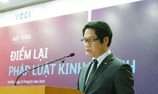Chủ tịch VCCI Vũ Tiến Lộc phát biểu khai mạc hội thảo