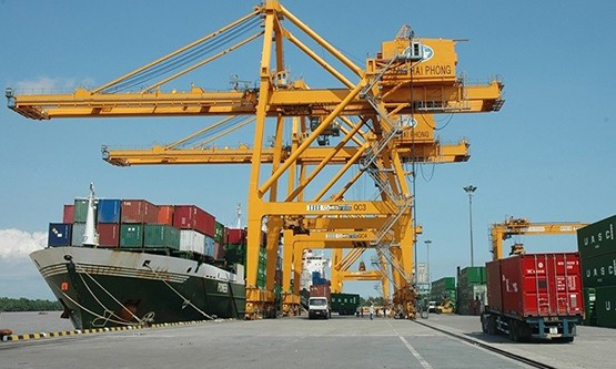 Sản lượng hàng hóa qua cảng biển Việt Nam được dự báo sẽ tiếp tục tăng khi các hãng tàu lớn mở thêm nhiều tuyến dịch vụ cập các cảng khu vực: Hải Phòng, Đà Nẵng 