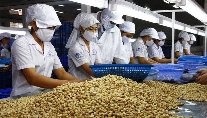 Trung Quốc tăng mạnh nhập khẩu hạt điều Việt Nam trong 6 tháng đầu năm