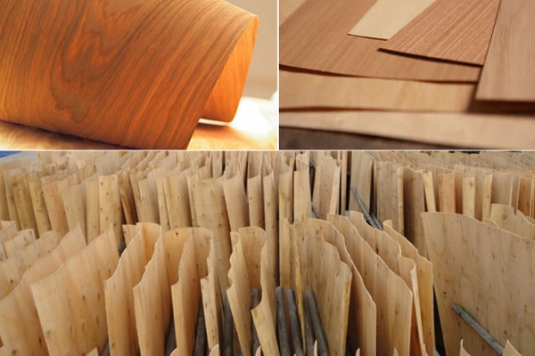 Gỗ dán dùng nguyên liệu là gỗ cứng: Mức độ cảnh báo là mức 4 - cao nhất