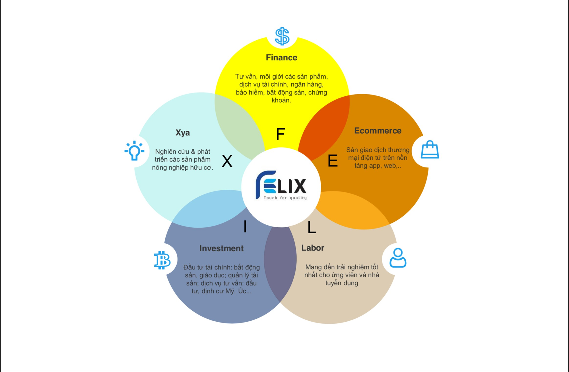 FELIX là 5 chữ cái đại diện cho 5 lĩnh vực mà công ty đang xây dựng và phát triển hoạt động kinh doanh