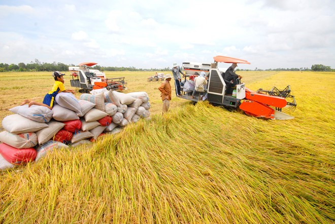Việt Nam đạt trên 75 điểm ở 8 hạng mục như tính an toàn và chất lượng thực phẩm, tính ổn định của sản xuất nông nghiệp