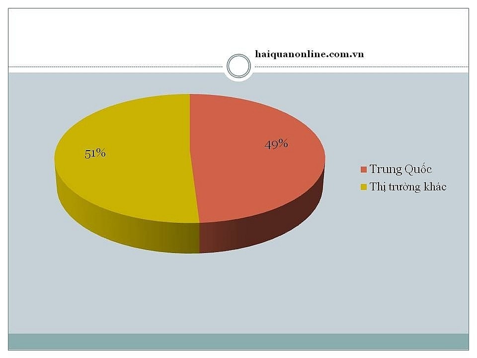 Tỉ trọng nhập khẩu nguyên phụ liệu phục vụ ngành dệt may da giày từ Trung Quốc và các thị trường khác - Biểu đồ: T.Bình