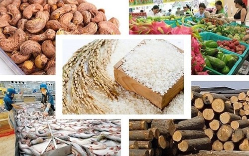 những ngành có thế mạnh như gỗ, thuỷ sản cũng đã có những tin hiệu vui từ thị trường EU sau khi Hiệp định EVFTA đi vào thực thi