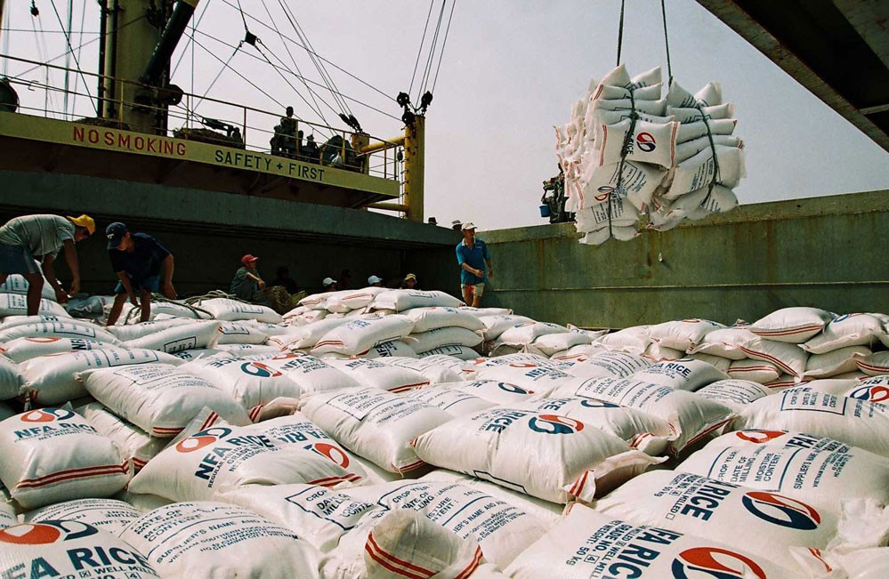 Vận chuyển gạo xuất khẩu tại Cảng Sài Gòn (thành phố Hồ Chí Minh) - Ảnh: Sơn Hà