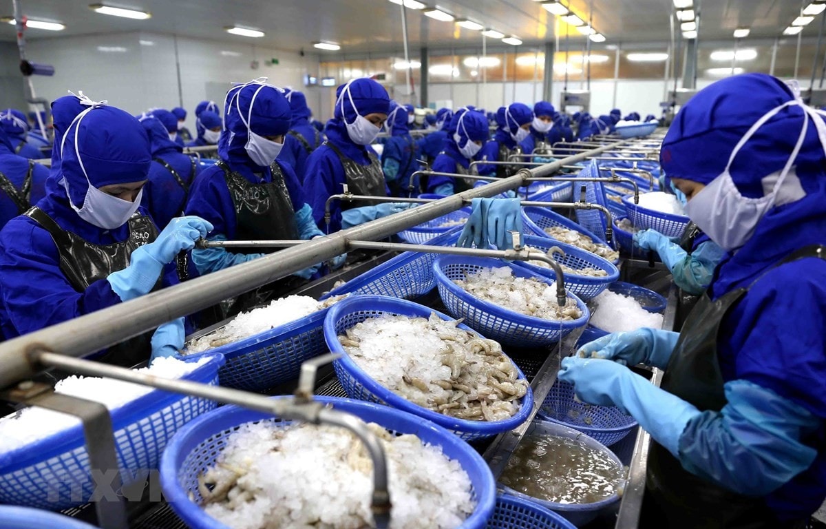 Thời gian còn lại của năm 2020, các cấp, các ngành cần tiếp tục quyết liệt hành động, tranh thủ thời cơ, triển khai đồng bộ, hiệu quả các nhiệm vụ, giải pháp thực hiện “mục tiêu kép” đã đề ra...