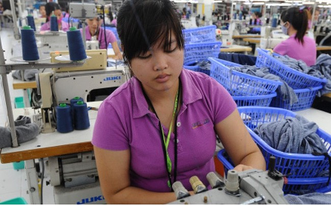 Nhiều mặt hàng Việt Nam được hưởng lợi từ Hiệp định EVFTA
