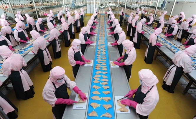 Ngành Nông nghiệp Thủ đô sẽ tăng cường kiểm tra nguồn gốc nông sản, thực phẩm được sản xuất, sơ chế, chế biến tại các cơ sở trên địa bàn. Trong ảnh: Dây chuyền sơ chế thịt gia cầm theo tiêu chuẩn châu Âu của Công ty cổ phần Chăn nuôi CP Việt Nam (huyện Chương Mỹ)