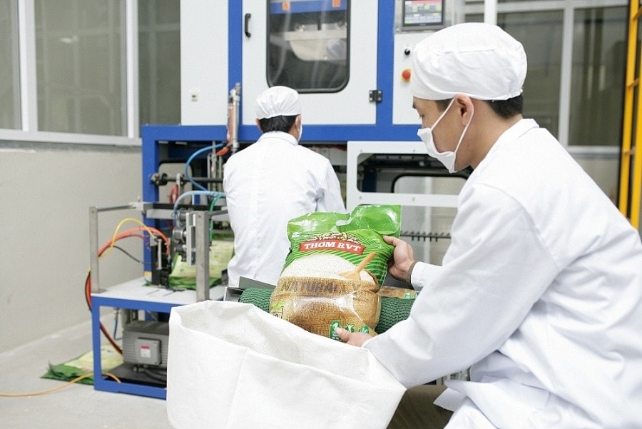 Xuất khẩu gạo tập trung vào các loại chất lượng cao