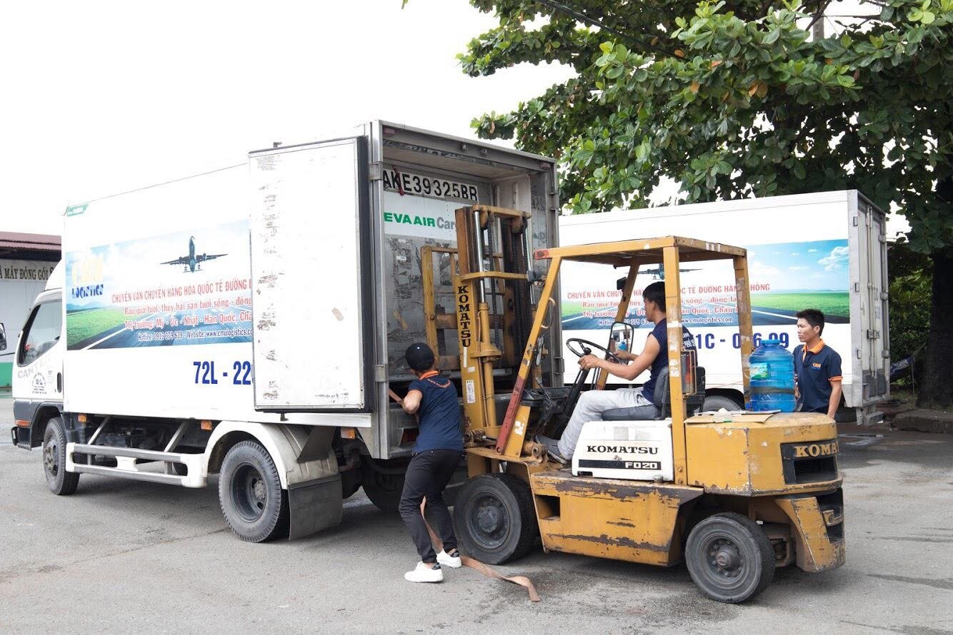 CMU is a leading agent, accounting for more than 50% of the market share in the transportation of fruit products by air to demanding markets such as the United States, Japan, Korea, Australia, Chile, New Zealand, Canada and Europe,...