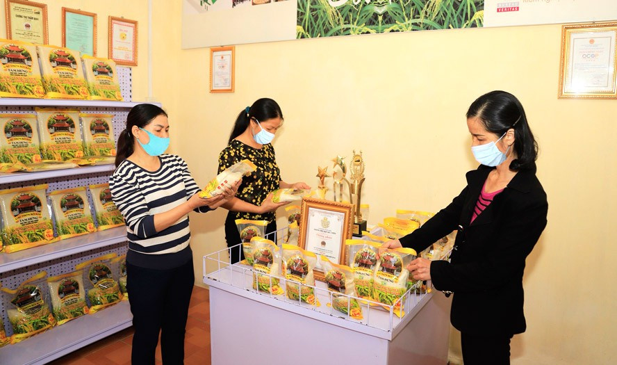 Sở Nông nghiệp và Phát triển nông thôn Hà Nội đang phối hợp với nhiều đơn vị giới thiệu sản phẩm của Chương trình mỗi xã một sản phẩm (OCOP). Trong ảnh: Khách hàng tìm hiểu sản phẩm gạo Bắc thơm tại Hợp tác xã Nông nghiệp Tam Hưng (huyện Thanh Oai) - Ảnh: Quang Thái