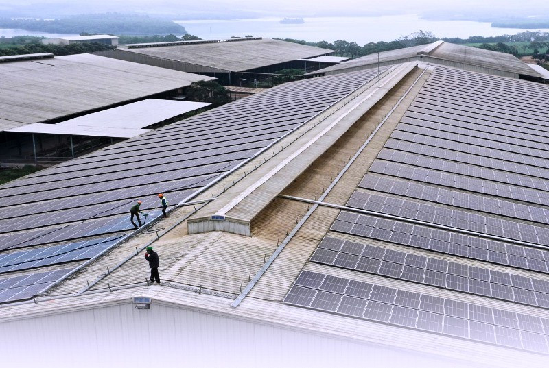 Lắp đặt pin năng lượng mặt trời tại một doanh nghiệp ở Nghệ An (Ảnh: Báo Nghệ An)