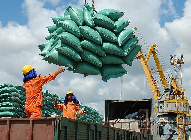 Cơ cấu gạo xuất khẩu của Việt Nam đang tiếp tục chuyển dịch sang các loại gạo thơm, gạo chất lượng cao