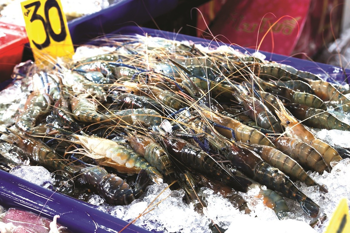 The fact that the European Commission (EC) issued a “yellow card” warning to Vietnam’s seafood has caused bad effects to Vietnam’s seafood sector, lives of fishermen and the country’s reputation as well