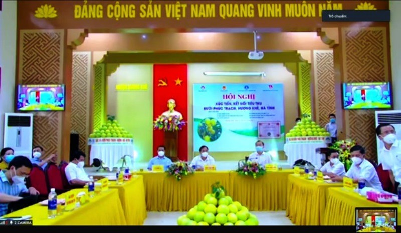 Hội nghị được tổ chức theo hình thức trực tuyến với điểm cầu chính tại UBND huyện Hương Khê, tỉnh Hà Tĩnh - Ảnh: Phương Thảo
