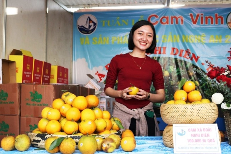Cam Xã Đoài - Một trong những loại trái cây nổi tiếng của Nghệ An (ảnh minh họa)