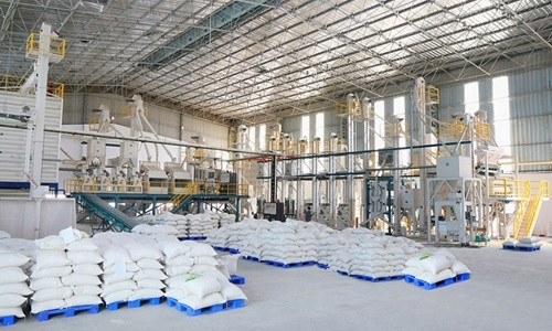 Các nhà máy gạo tại khu vực phía Nam đã hoạt động lại