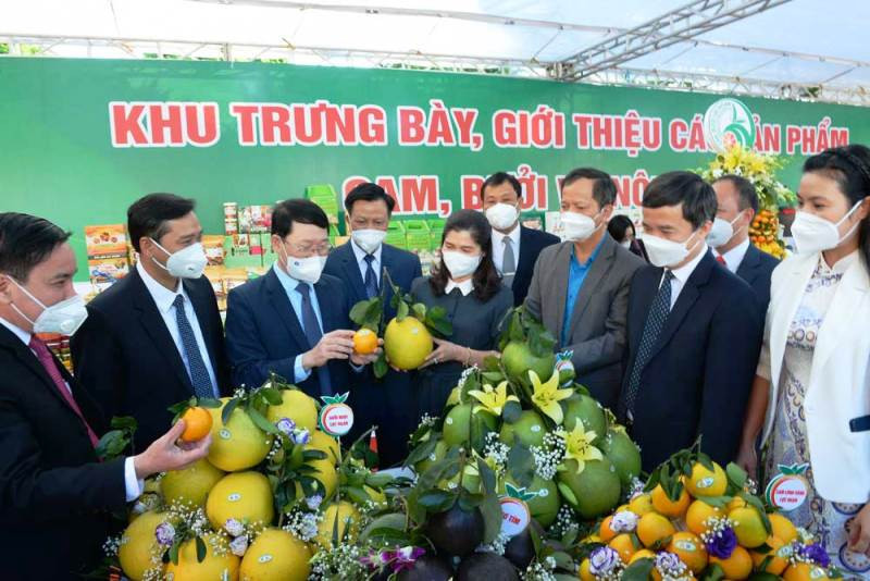 Hội nghị là cơ hội để Bắc Giang tìm thị trường tiêu thụ những nông sản thế mạnh của tỉnh - Ảnh: Thế Đại