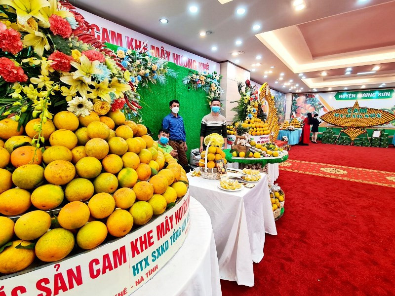 Nhiều đặc sản cam nổi tiếng của Hà Tĩnh được trưng bày, quảng bá tại Hội nghị - Ảnh: H.Anh