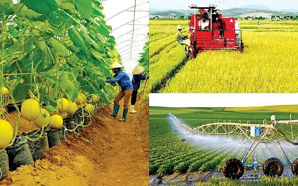 Theo thống kê, tốc độ tăng trưởng bình quân của ngành nông nghiệp được giữ vững hàng năm, đóng góp 14% GDP trong năm 2019
