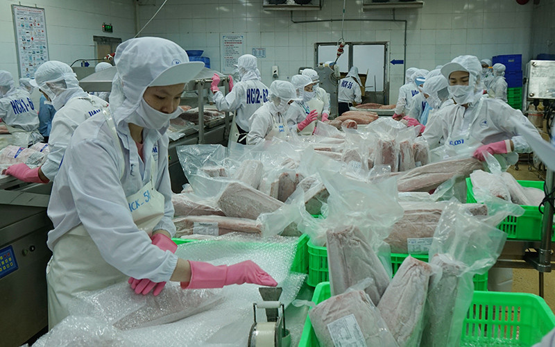Chế biến cá ngừ xuất khẩu tại Công ty cổ phần Thủy sản Bình Định, tỉnh Bình Định.