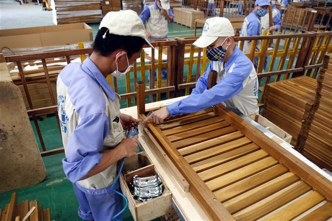 Sản xuất chế biến gỗ xuất khẩu ở Công ty CP Woodsland Tuyên Quang. Ảnh: Vũ Quang/TTXVN.