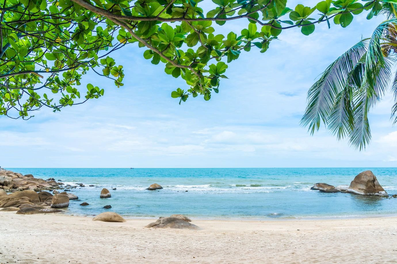beautiful-outdoor-tropical-beach-sea-around-samui-island-with-coconut-palm-tree-other_74190-9001-compressed.jpg
