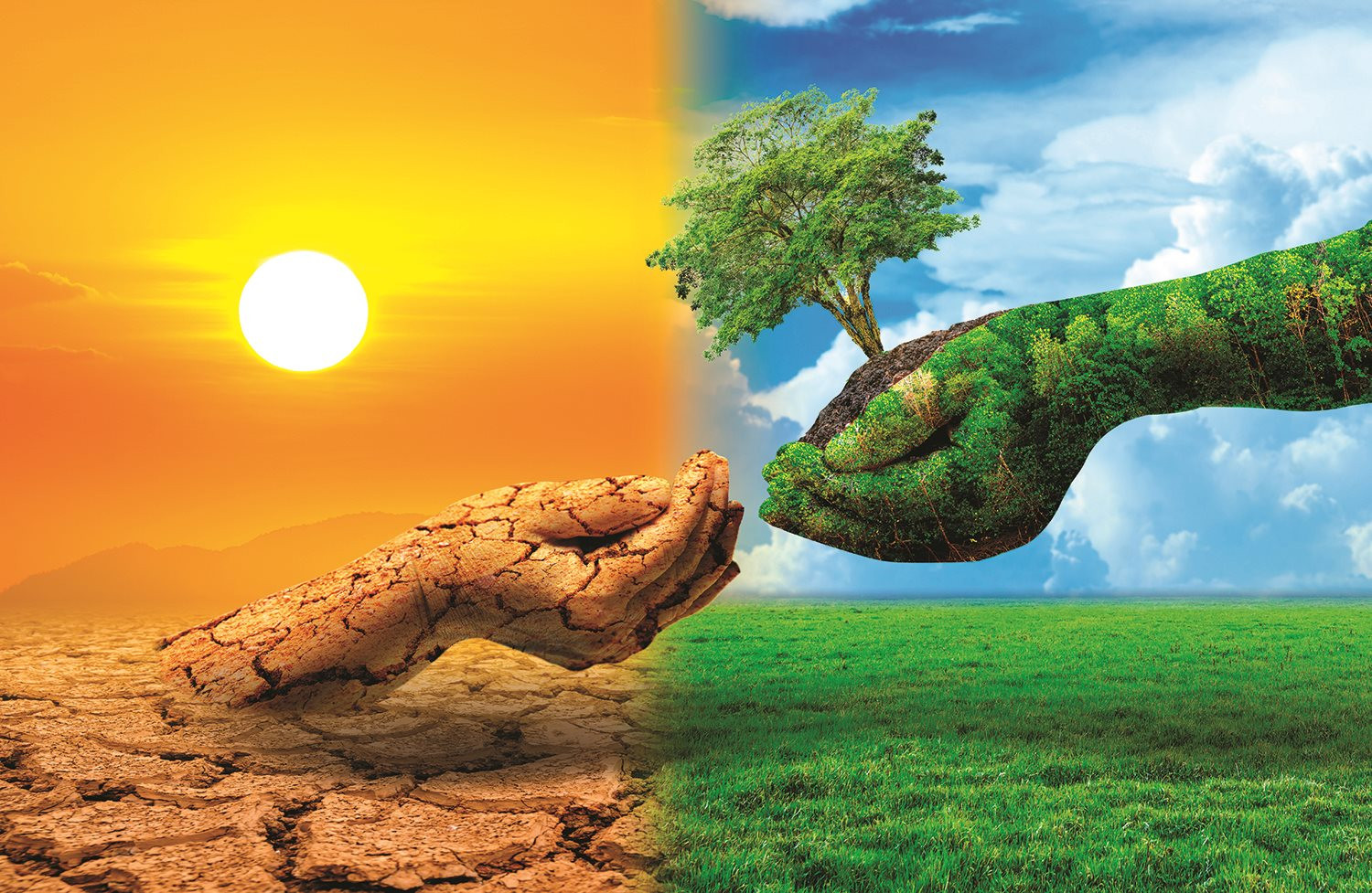 tree-two-hands-with-very-different-environments-earth-day-world-environment-day-global-warming-pollution.jpg