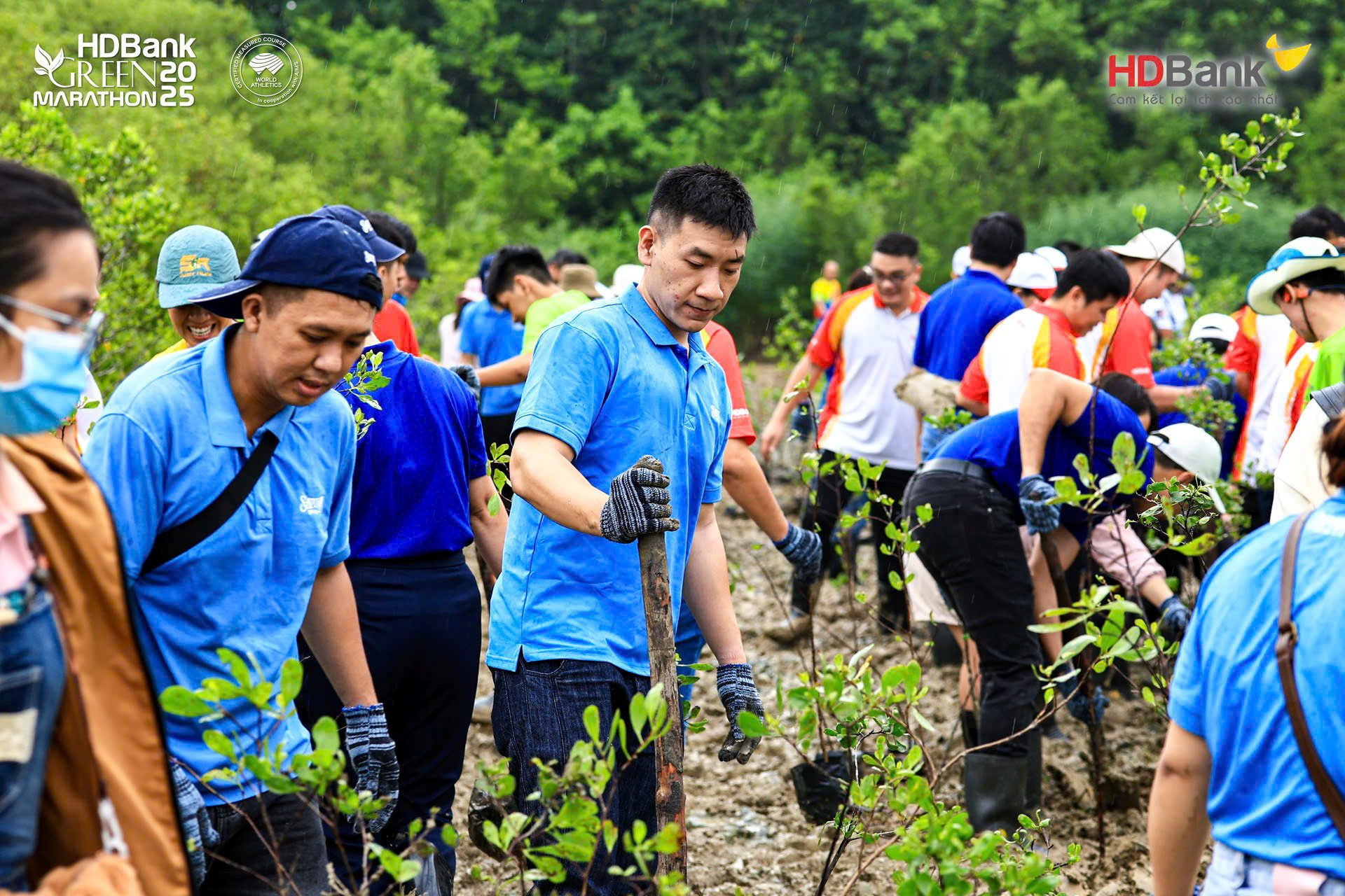 tham-gia-trong-rung-ngap-man-can-gio-hd-bank-green-marathon-2025.jpg