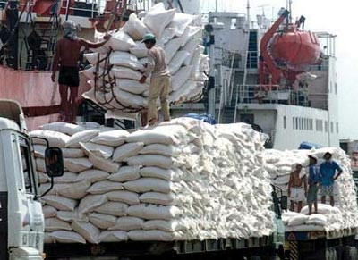 Thị trường xuất khẩu gạo đang có dấu hiệu tích cực