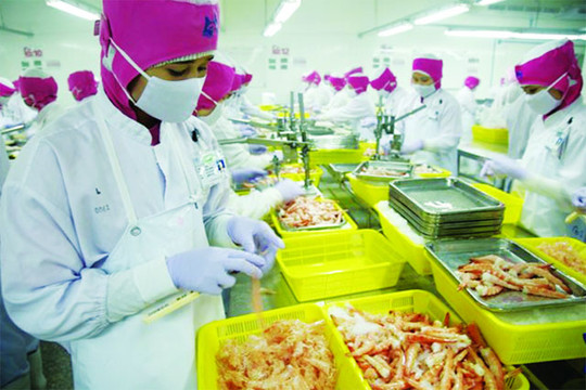 Chuỗi cung ứng lạnh - tiềm năng phát triển ngành logistics Việt Nam (Kỳ 2)