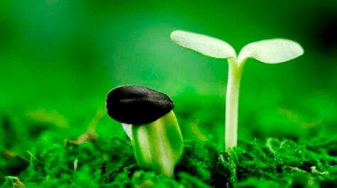 Chăm sóc và nuôi dưỡng chuỗi cung ứng