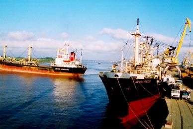 Logistics- Khâu yếu nhất của Hải Phòng