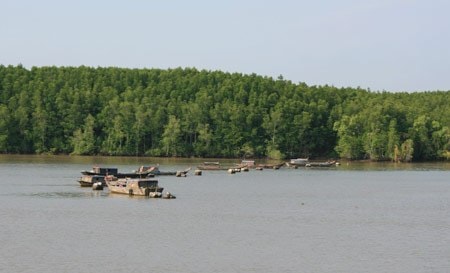 Ứng phó với biến đổi khí hậu ở Đồng bằng Sông Cửu Long