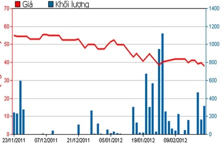 Nhiều cổ đông vi phạm công bố thông tin