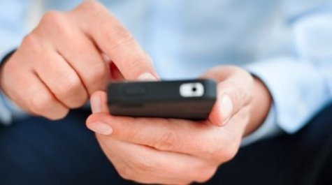 2 người bạn đồng hành của dế yêu