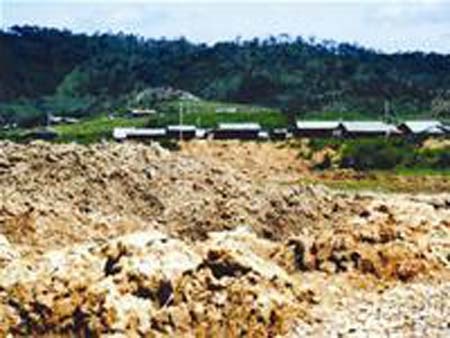 Bình yên trở lại ở xứ vàng