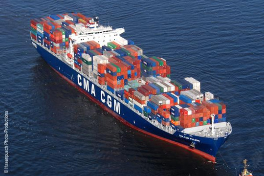 Global idle fleet stands at 5pc, 297 ships, totalling 809,000 TEU