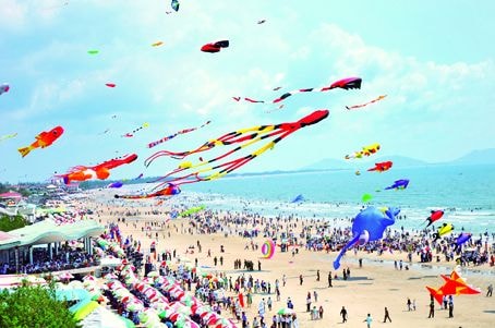 Hội ngộ  biển và diều