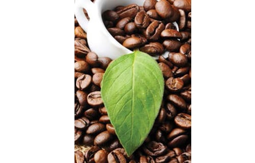 Đặc tính sản phẩm và mô hình chuỗi cung ứng