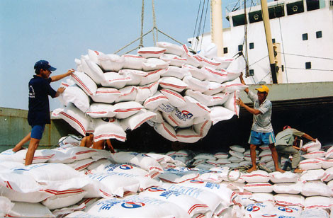 Nhiều hạn chế cản đường gạo Việt trong TPP