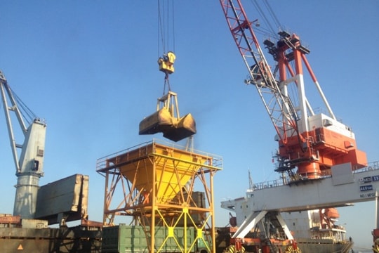 Xuân về trên bến cảng OTG