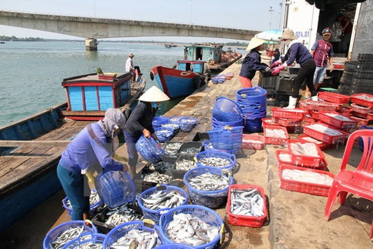 3 yếu tố tăng giá trị cạnh tranh của thủy sản Việt Nam