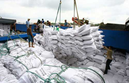 Tháng 10, Việt Nam xuất khẩu hơn 350.000 tấn gạo