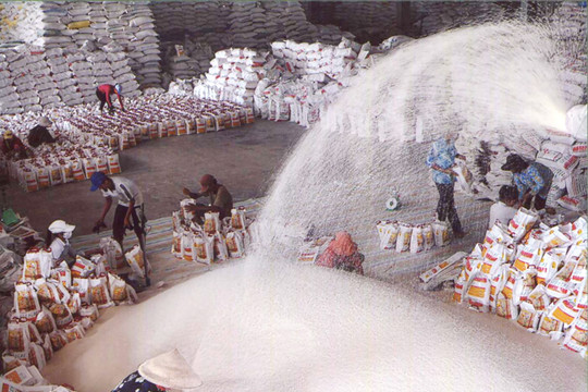 AEC và giải pháp cho xuất khẩu gạo Việt Nam