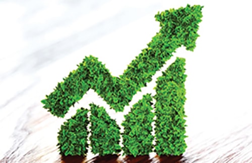 Xây dựng thương hiệu xanh