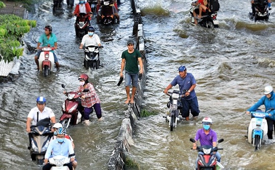 TP.HCM chi 8.000 tỷ đồng chống ngập năm nay